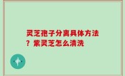 灵芝孢子分离具体方法？紫灵芝怎么清洗