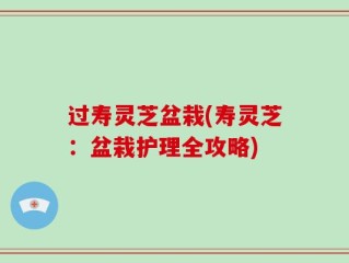 过寿灵芝盆栽(寿灵芝：盆栽护理全攻略)