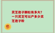 灵芝孢子颗粒有多大？一只灵芝可以产多少灵芝孢子粉