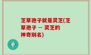 芝草孢子就是灵芝(芝草孢子 -- 灵芝的神奇别名)