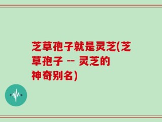 芝草孢子就是灵芝(芝草孢子 -- 灵芝的神奇别名)