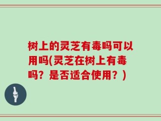 树上的灵芝有毒吗可以用吗(灵芝在树上有毒吗？是否适合使用？)