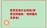 养灵芝有什么好处(养灵芝的益处：功效强大又安全)