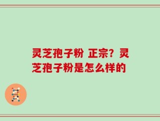 灵芝孢子粉 正宗？灵芝孢子粉是怎么样的