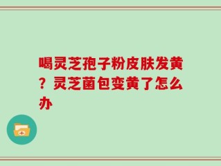 喝灵芝孢子粉皮肤发黄？灵芝菌包变黄了怎么办