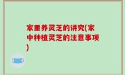 家里养灵芝的讲究(家中种植灵芝的注意事项)