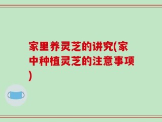 家里养灵芝的讲究(家中种植灵芝的注意事项)