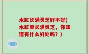 水缸长满灵芝好不好(水缸里长满灵芝，你知道有什么好处吗？)
