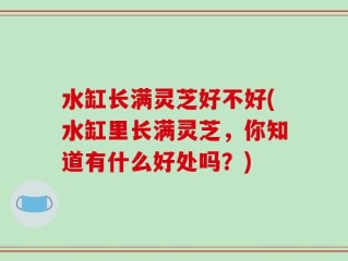 水缸长满灵芝好不好(水缸里长满灵芝，你知道有什么好处吗？)