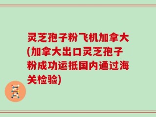 灵芝孢子粉飞机加拿大(加拿大出口灵芝孢子粉成功运抵国内通过海关检验)