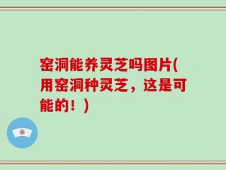 窑洞能养灵芝吗图片(用窑洞种灵芝，这是可能的！)