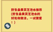 野生桑黄灵芝泡水推荐(野生桑黄灵芝泡水的好处和做法，一试便爱！)