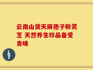 云南山货天麻孢子粉灵芝 天然养生珍品备受青睐