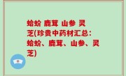 蛤蚧 鹿茸 山参 灵芝(珍贵中药材汇总：蛤蚧、鹿茸、山参、灵芝)