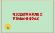 吃灵芝的效果反映(灵芝带来的健康效益)