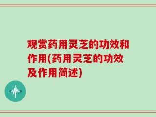 观赏药用灵芝的功效和作用(药用灵芝的功效及作用简述)
