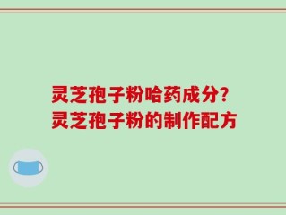 灵芝孢子粉哈药成分？灵芝孢子粉的制作配方
