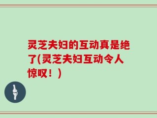 灵芝夫妇的互动真是绝了(灵芝夫妇互动令人惊叹！)