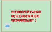 云芝和树舌灵芝功效区别(云芝和树舌灵芝的功效有哪些区别？)