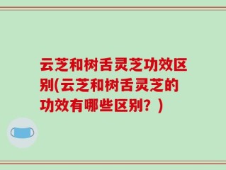云芝和树舌灵芝功效区别(云芝和树舌灵芝的功效有哪些区别？)
