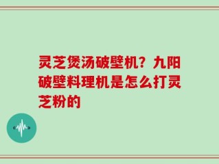 灵芝煲汤破壁机？九阳破壁料理机是怎么打灵芝粉的