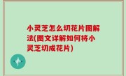小灵芝怎么切花片图解法(图文详解如何将小灵芝切成花片)