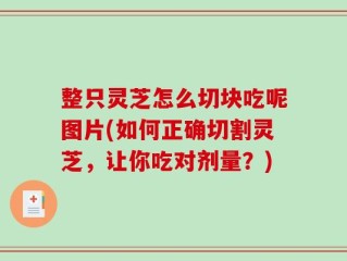 整只灵芝怎么切块吃呢图片(如何正确切割灵芝，让你吃对剂量？)