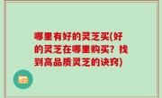 哪里有好的灵芝买(好的灵芝在哪里购买？找到高品质灵芝的诀窍)