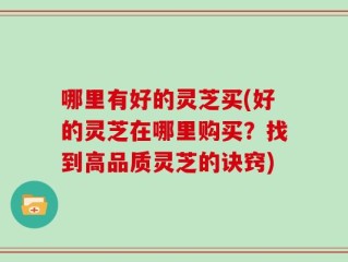 哪里有好的灵芝买(好的灵芝在哪里购买？找到高品质灵芝的诀窍)