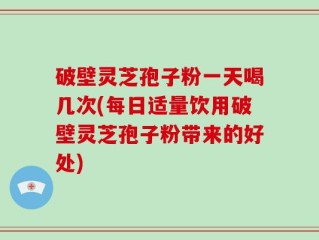 破壁灵芝孢子粉一天喝几次(每日适量饮用破壁灵芝孢子粉带来的好处)