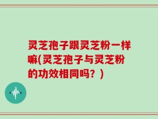 灵芝孢子跟灵芝粉一样嘛(灵芝孢子与灵芝粉的功效相同吗？)