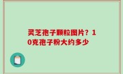 灵芝孢子颗粒图片？10克孢子粉大约多少