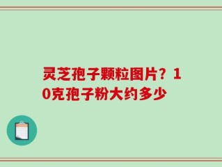 灵芝孢子颗粒图片？10克孢子粉大约多少