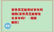 家养灵芝能养好多年吗视频(家养灵芝能够生长多年吗？ - 视频解析)