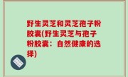 野生灵芝和灵芝孢子粉胶囊(野生灵芝与孢子粉胶囊：自然健康的选择)