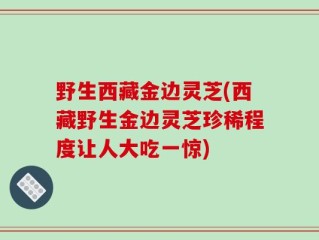 野生西藏金边灵芝(西藏野生金边灵芝珍稀程度让人大吃一惊)