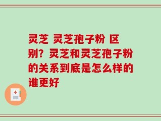 灵芝 灵芝孢子粉 区别？灵芝和灵芝孢子粉的关系到底是怎么样的谁更好