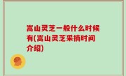 嵩山灵芝一般什么时候有(嵩山灵芝采摘时间介绍)