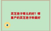 灵芝孢子哪儿的好？哪里产的灵芝孢子粉最好