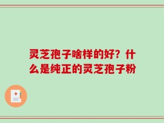 灵芝孢子啥样的好？什么是纯正的灵芝孢子粉
