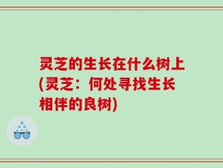 灵芝的生长在什么树上(灵芝：何处寻找生长相伴的良树)