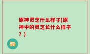 原神灵芝什么样子(原神中的灵芝长什么样子？)