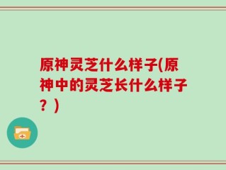 原神灵芝什么样子(原神中的灵芝长什么样子？)