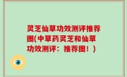 灵芝仙草功效测评推荐图(中草药灵芝和仙草功效测评：推荐图！)