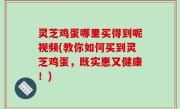灵芝鸡蛋哪里买得到呢视频(教你如何买到灵芝鸡蛋，既实惠又健康！)