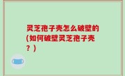 灵芝孢子壳怎么破壁的(如何破壁灵芝孢子壳？)