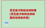 灵芝孢子粉和古桦树茸(灵芝孢子粉和古桦树茸的功效和作用)
