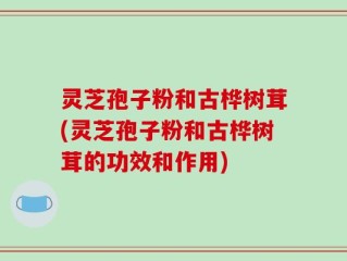 灵芝孢子粉和古桦树茸(灵芝孢子粉和古桦树茸的功效和作用)
