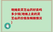 地摊卖灵芝山药好卖吗多少钱(地摊上卖的灵芝山药价格及畅销情况)