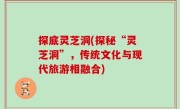 探底灵芝洞(探秘“灵芝洞”，传统文化与现代旅游相融合)